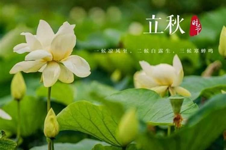 如何对付生活中的小人？