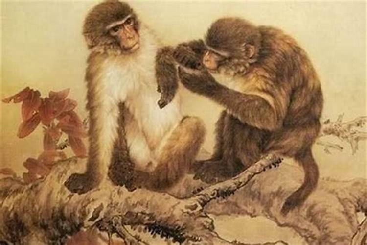 1980年属猴每月运势 运势详解？