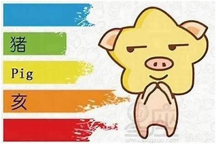 冬至后开什么生肖最旺