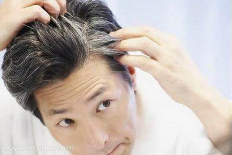 1996年属鼠的终身幸运色和幸运数字 黑色提升肖鼠感情运势？