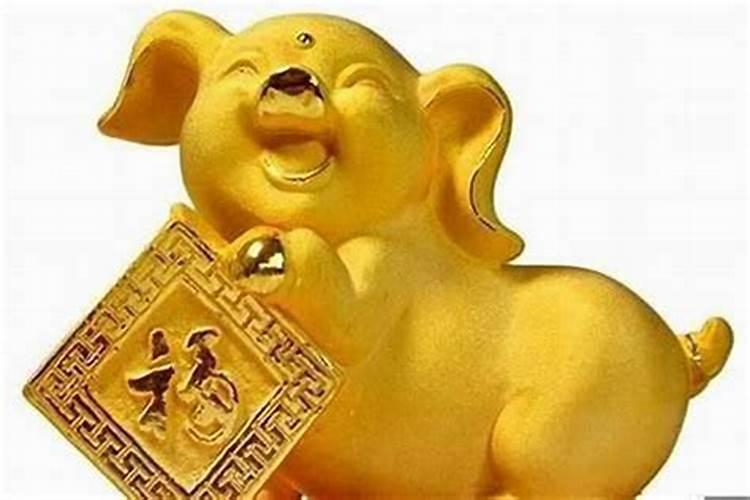 属猪人运气最好的年份