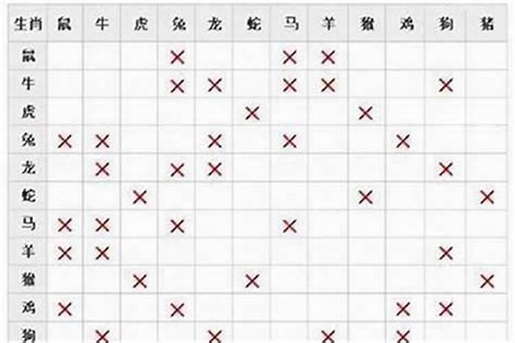 马与什么属相最好