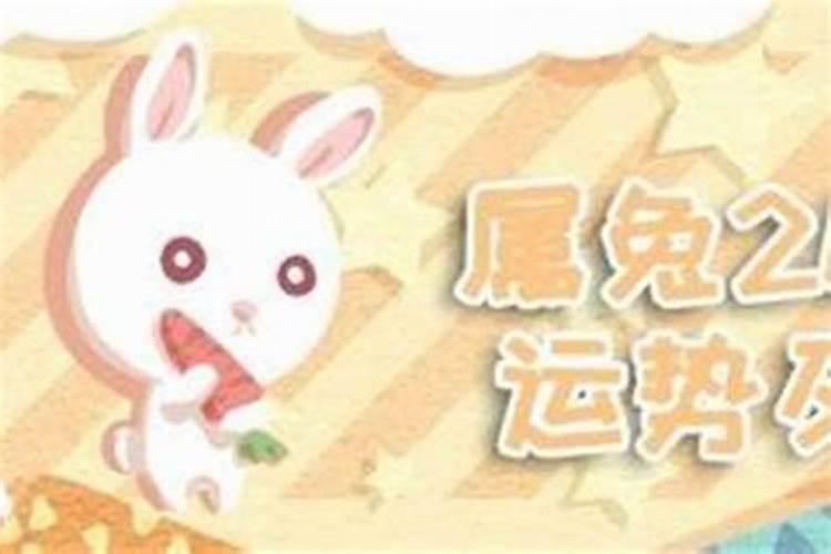 家居家里摆什么花防小人