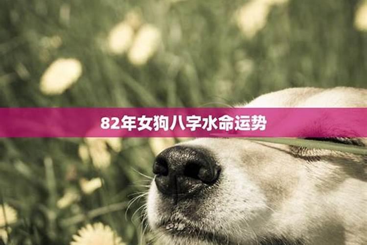 正月十二有什么说法吗