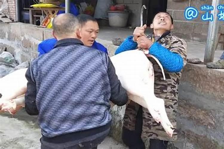梦见自己手里提的大肉走