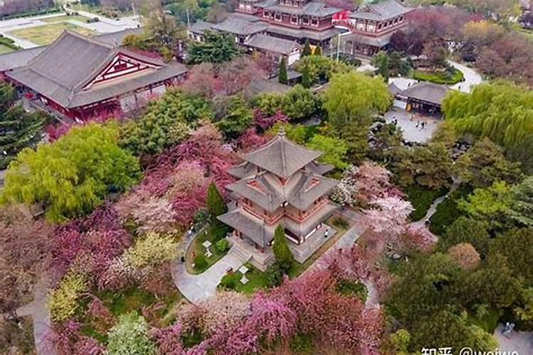 清明节西安周边好玩的地方