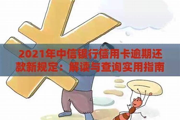 属兔人2025年的风水和运势