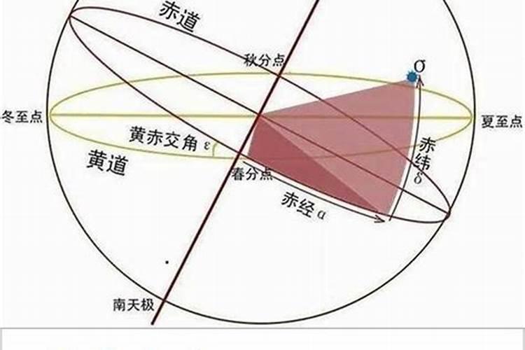 梦到死鱼是什么预兆