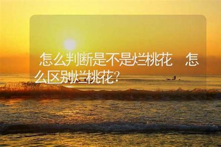 梦见红车跑车的预兆