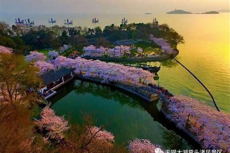 九月九日出生的男孩名字,重阳节生日名字带什么字好