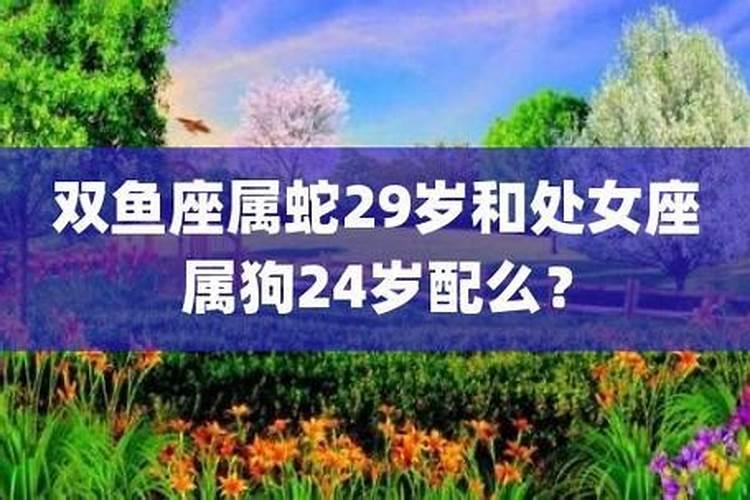 属羊2025运势及运程详解