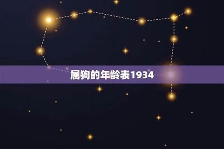 属狗的今年几岁