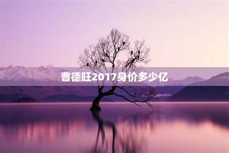 超级百亿富豪八字分析 日坐财库富贵