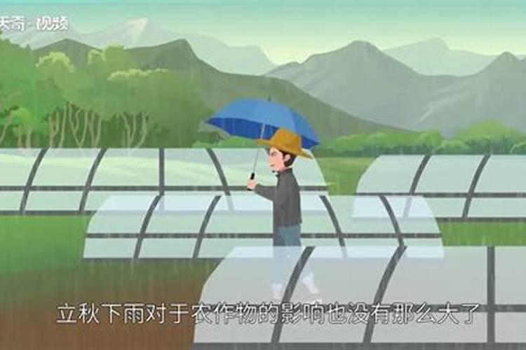 八字五行怎么看？