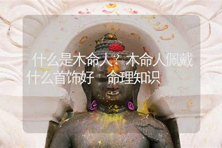 2025属兔人全年12个月运势如何