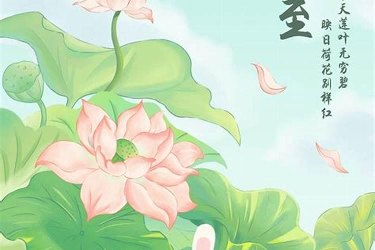 夏至是什么节气 夏至是什么节气 介绍
