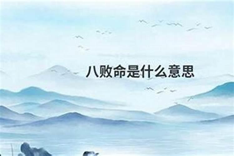 八字算命属蛇的一月出生犯八败,属狗的十一月出生犯八败
