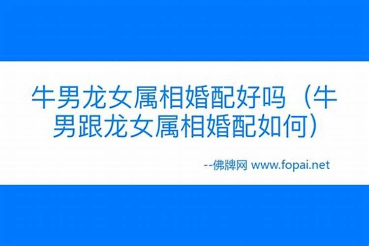 清明扫墓有什么讲究吗 清明扫墓有哪些注意事项