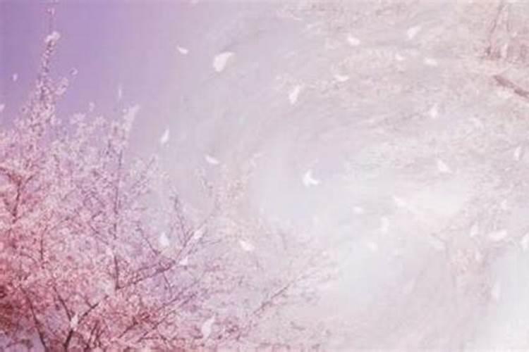 江苏冬至吃什么
