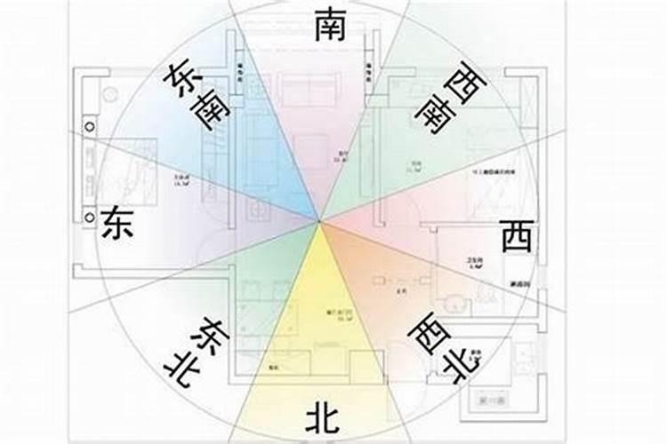 我奶死了几个月了,怎么我昨晚又梦见她活过来了？