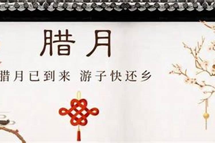 属蛇人2026年全年运势