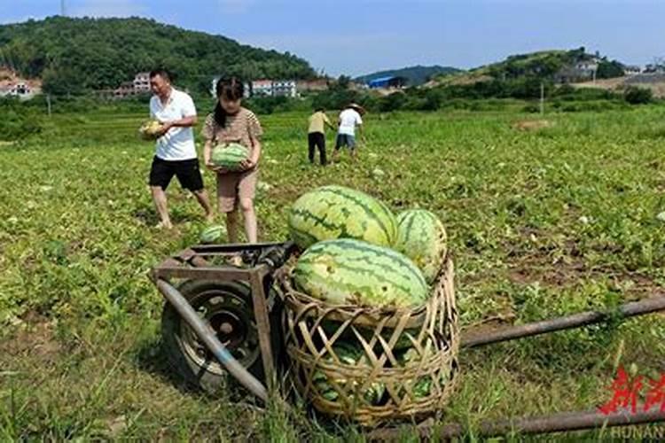如何看自己一生有几段婚姻？