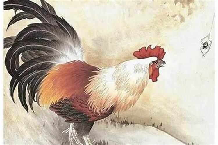不动明王菩萨用什么材质？属鸡人一定要了解!