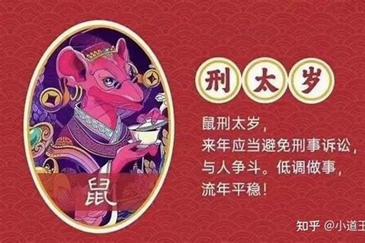属鼠的运气不好怎么化解