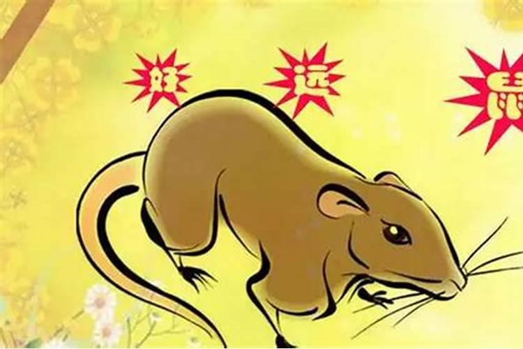 1972年属鼠人一生运势,72年属鼠的人一生运程
