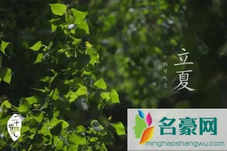 明星的生日一般都是登阴历还是阳历？