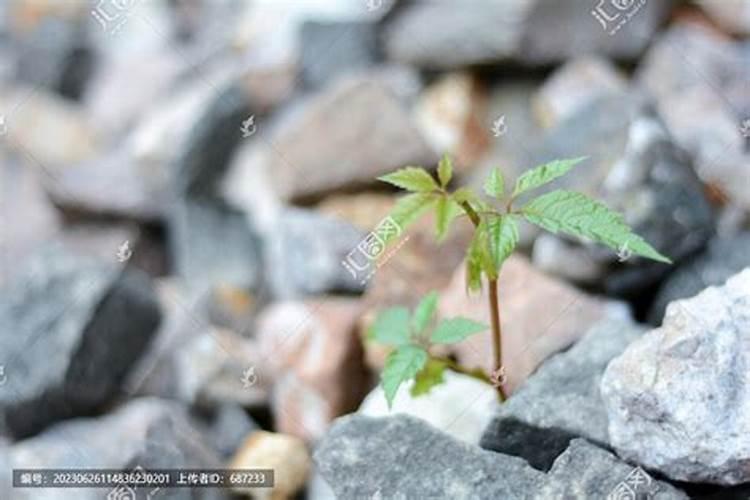 如何寻找家中的文昌位财位的位置？