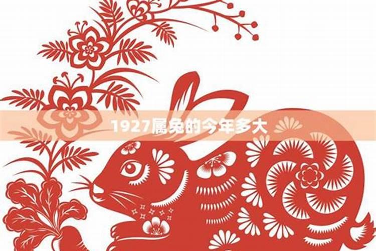 属兔的今年多大岁数2023年