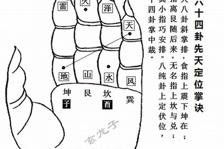 87年属兔一生大劫年桃花劫 87年兔一生劫难