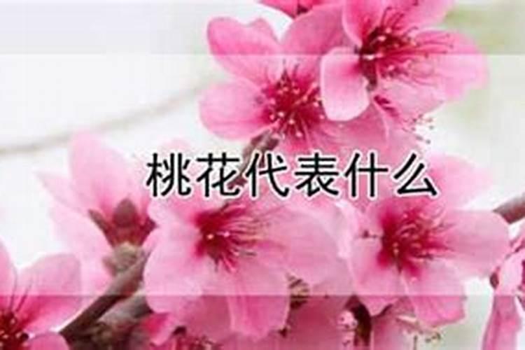 桃花运是什么意思