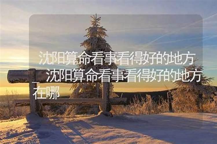 2024年蛇人运势及运程