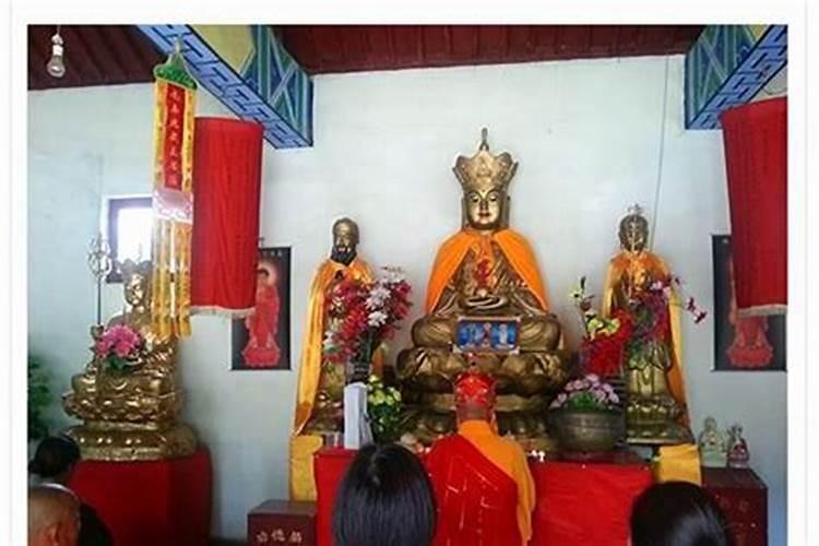 各地重阳节的习俗 各地过重阳节的风俗