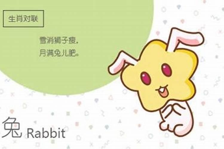 男属兔和女属猪的婚姻如何