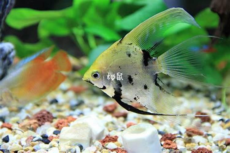 坎宅风水吉凶方位详解