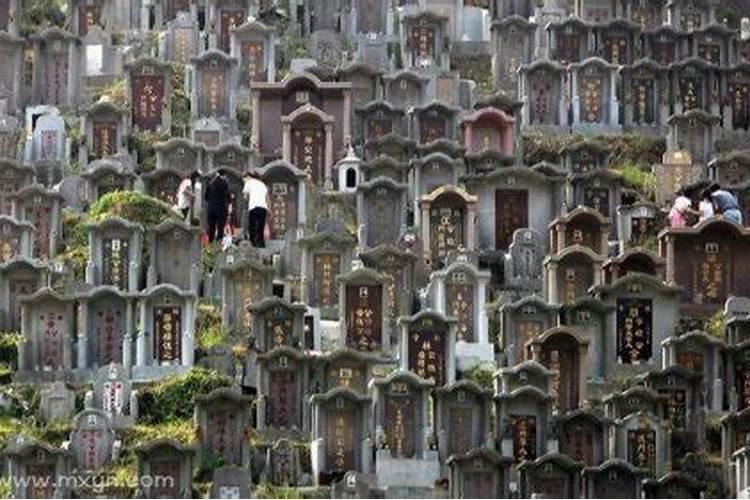 梦见墓地和死去的人的预兆