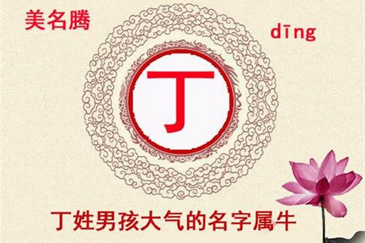 2025年90年属马女全年运程