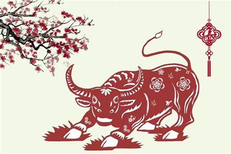 85年属牛 2025年整体运势