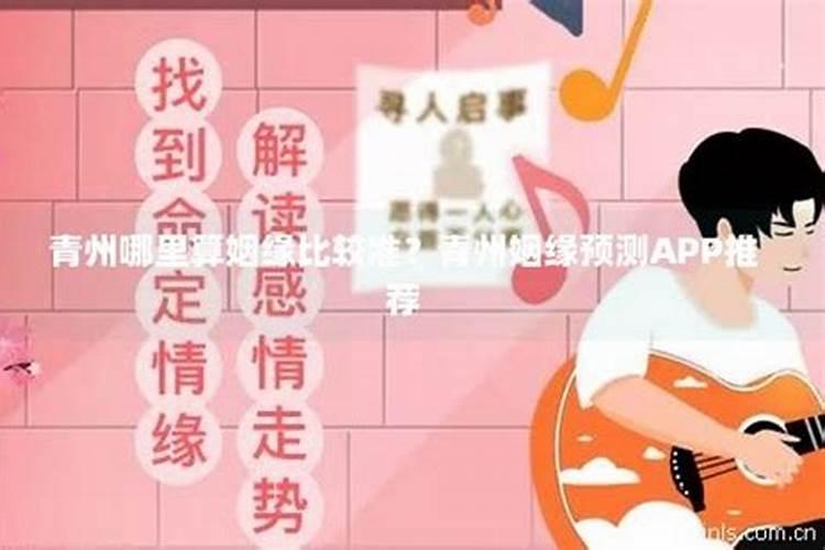 95年的猪女是什么命