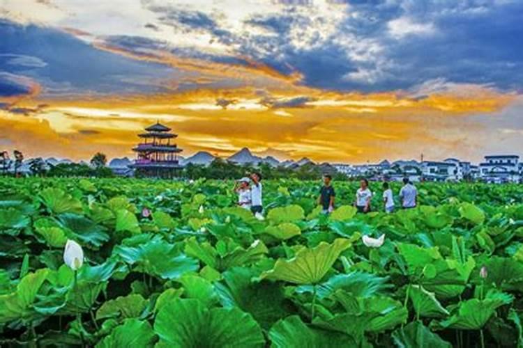 七夕节是哪一天有什么风俗七夕节有什么风俗特点