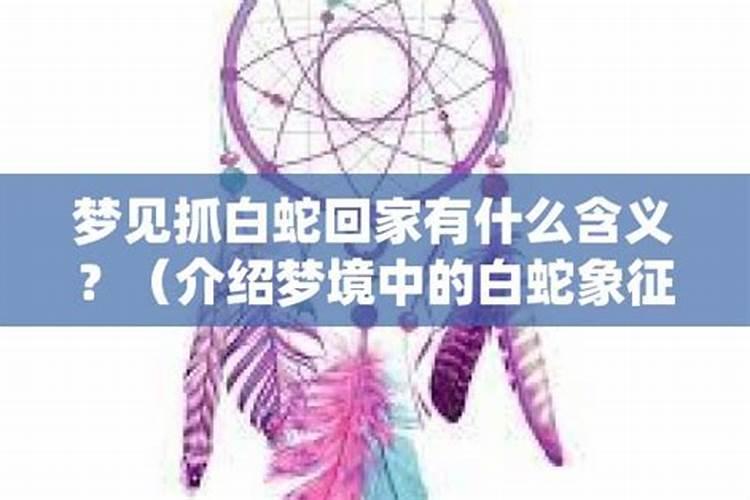 梦见回老家预示什么周公解梦梦见回老家什么预兆