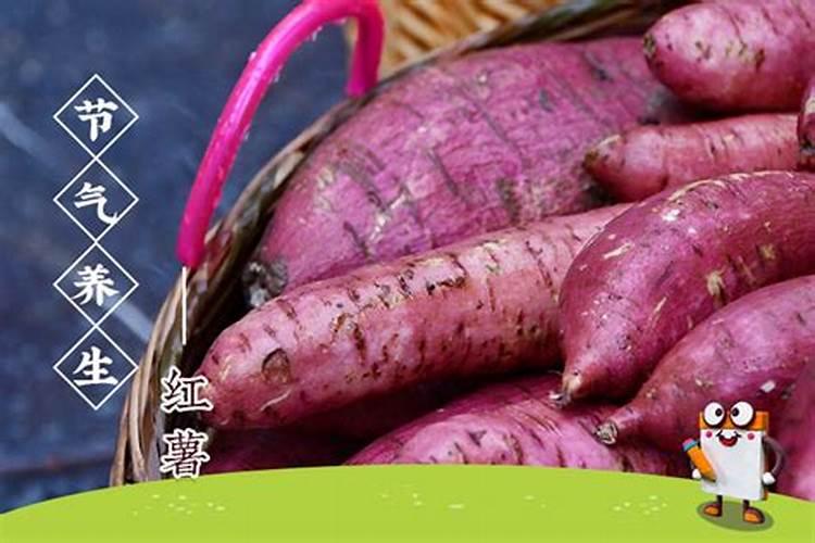 男1979年正月初二酉时出生的什么命？