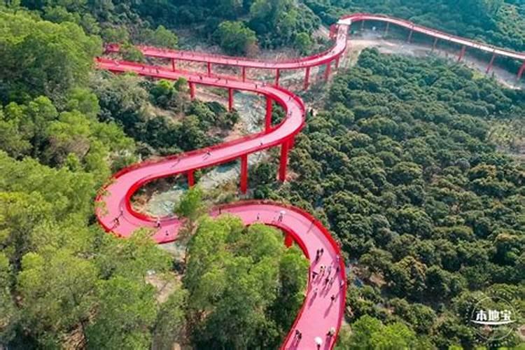属蛇的虎年犯太岁吗 属蛇虎年犯太岁如何化解