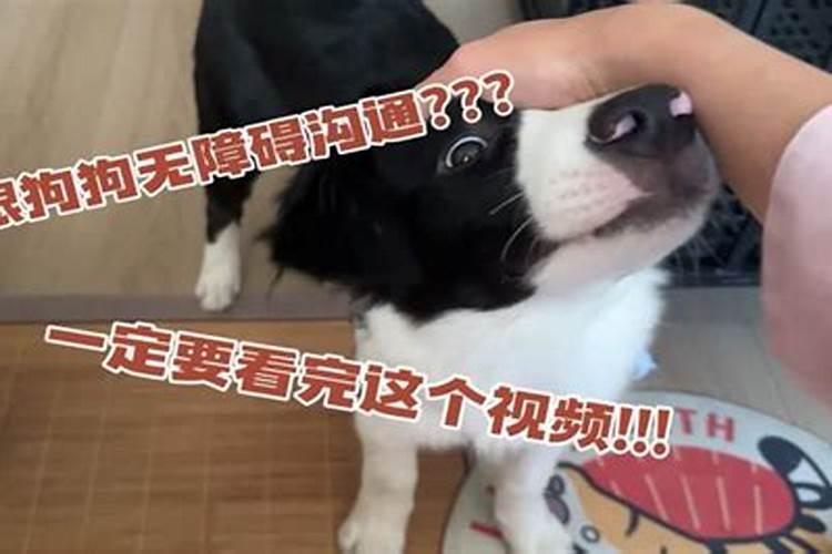 2025四月初九结婚好不好