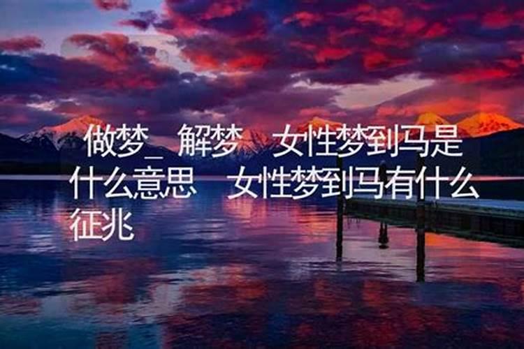女人梦见马是什么意思 为什么会梦见马