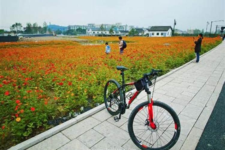 属鸡2023年犯太岁佩戴什么化解