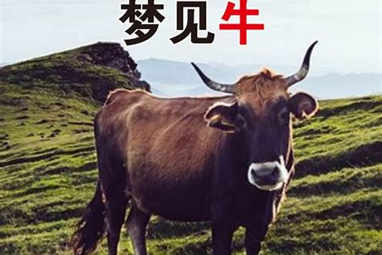 中元节烧纸的时候要说什么话